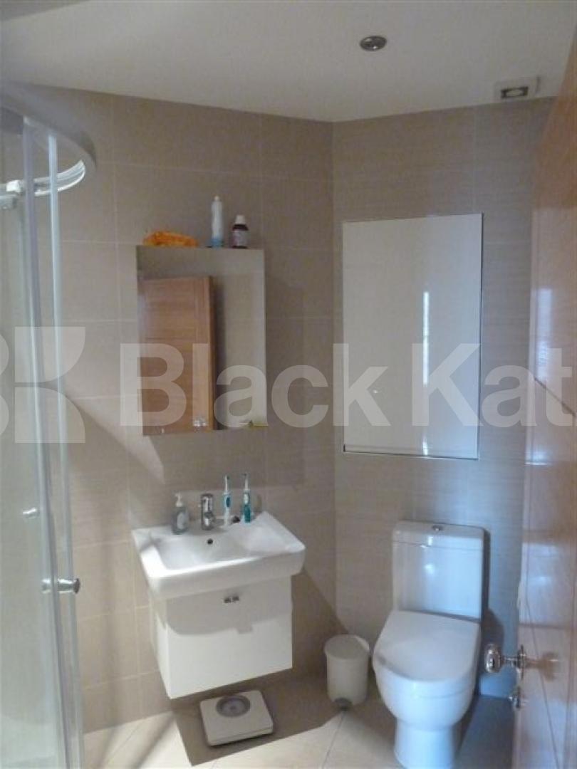 			New Instruction , 1 Bedroom, 1 bath, 1 reception Flat			 Balls Pond Road, ISLINGTON